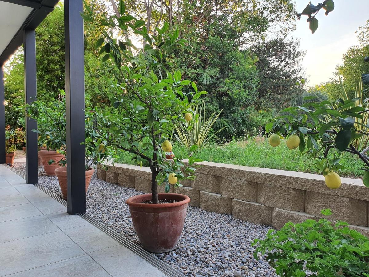 Albergo Campagnola Lazise Exteriér fotografie